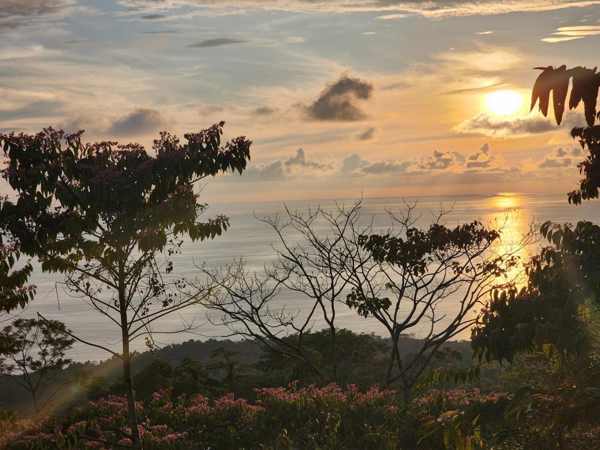 Canavida Villas & Resort Uvita Zewnętrze zdjęcie